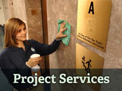 Project Services